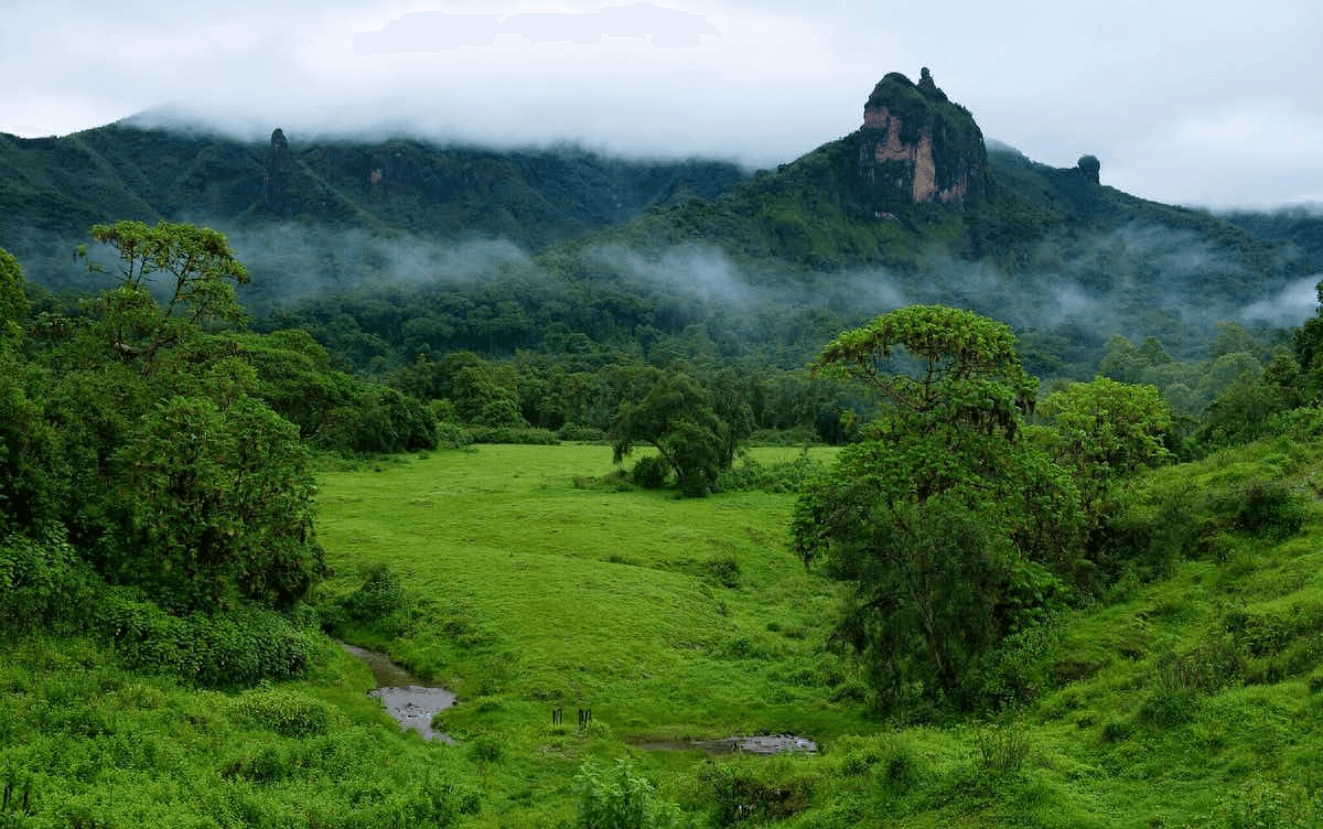 Discovering Ethiopia's Highlands