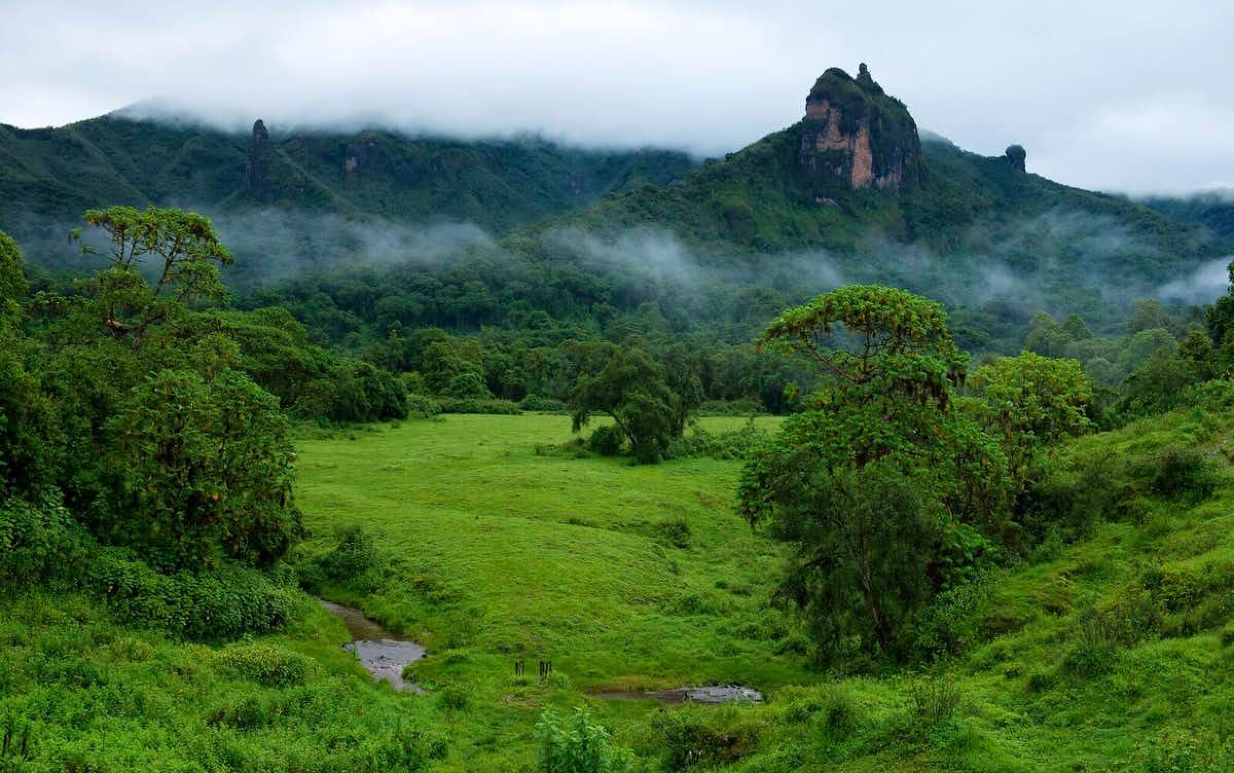 Discovering Ethiopia's Highlands