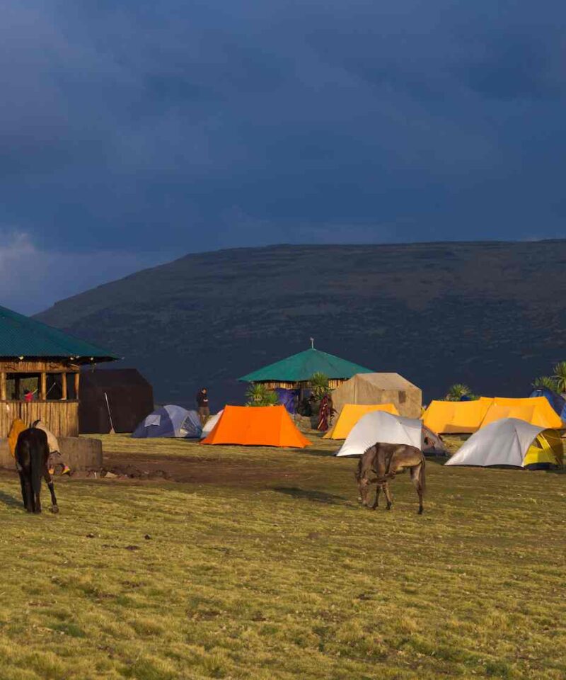 Ethiopia Semien Mountains Trekking Tour