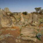 Gallery Thumbnail 1