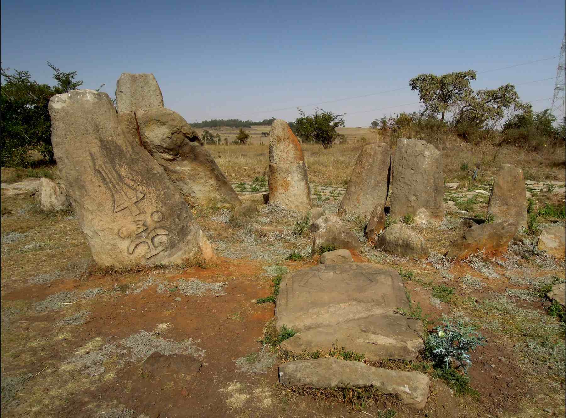 Tiya Stelea and Melka Kunture Tour